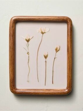 Hearth & Hand Framed Botanical Print in White, Brown and Cream